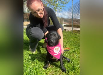 SHILA – neugierige kleine Entdeckerin