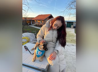 LUCKY – kleiner charmanter Herzensbrecher