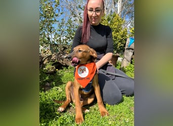 BODO – kleiner Entdecker mit großem Herz