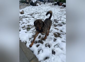 ALMA – sanfte, freundliche Seele