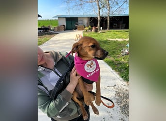 MACY – sanfte Kuschelmaus mit großem Herz