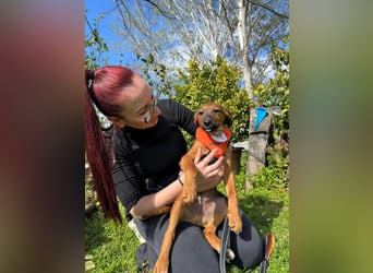 BODO – kleiner Entdecker mit großem Herz