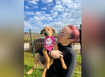 MACY – sanfte Kuschelmaus mit großem Herz