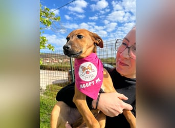 MACY – sanfte Kuschelmaus mit großem Herz