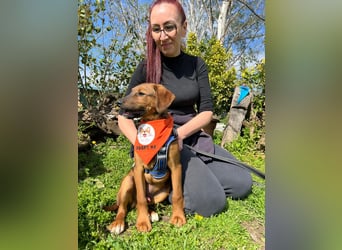 BODO – kleiner Entdecker mit großem Herz