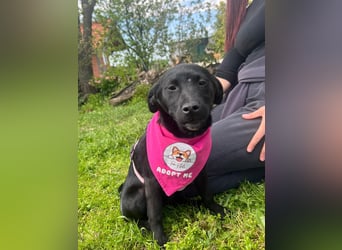 SHILA – neugierige kleine Entdeckerin