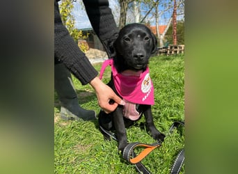 SHILA – neugierige kleine Entdeckerin