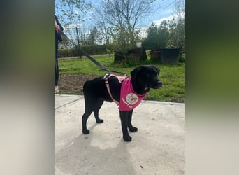 SHILA – neugierige kleine Entdeckerin