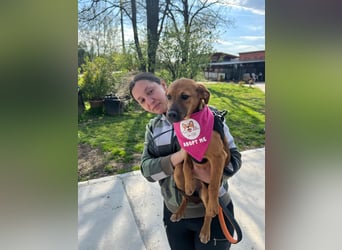 MACY – sanfte Kuschelmaus mit großem Herz