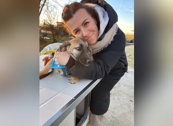 LUCKY – kleiner charmanter Herzensbrecher