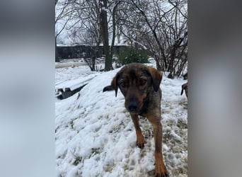 ALMA – sanfte, freundliche Seele