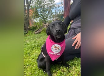 SHILA – neugierige kleine Entdeckerin