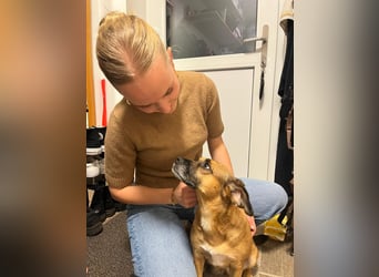 Raya ❤️Pflegefamilie 27252 Schwaförden