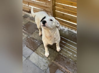 Spoty sucht Ihre Menschen