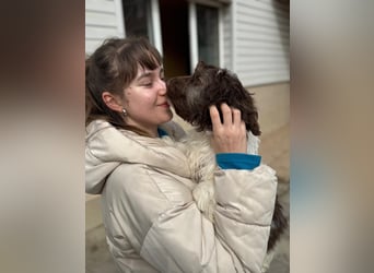 Flocke sucht sein Glück