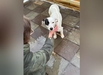 Spoty sucht Ihre Menschen