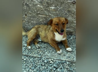 Pixel möchte auch ein Zuhause!
