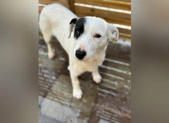 Spoty sucht Ihre Menschen