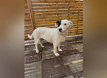 Spoty sucht Ihre Menschen