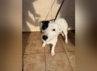 Spoty sucht Ihre Menschen