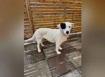 Spoty sucht Ihre Menschen