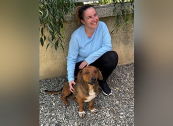 Arni sucht sein Zuhause