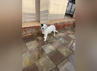 Spoty sucht Ihre Menschen