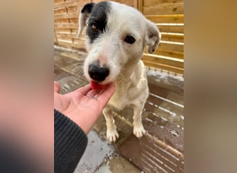 Spoty sucht Ihre Menschen