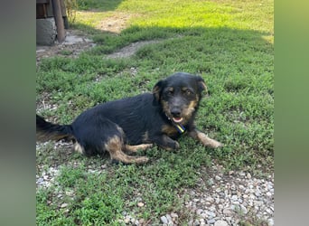 Coco sucht eine liebevolle Familie