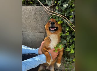 Pixel möchte auch ein Zuhause!
