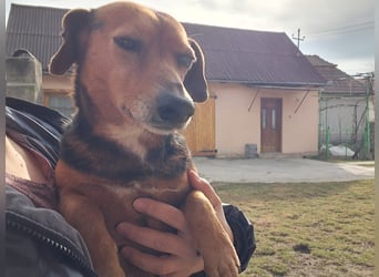 Bibi und Bebe suchen gemeinsam ihr Glück!