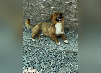 Pixel möchte auch ein Zuhause!