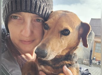 Bibi und Bebe suchen gemeinsam ihr Glück!