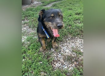 Coco sucht eine liebevolle Familie