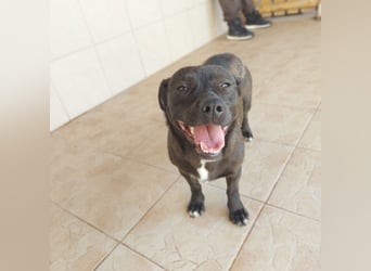 Coco sucht Ihre Familie!