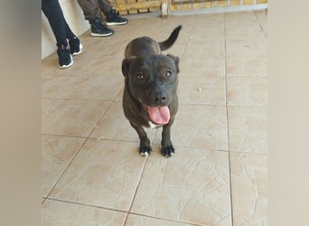 Coco sucht Ihre Familie!