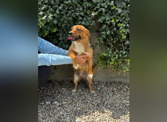 Pixel möchte auch ein Zuhause!