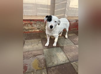 Spoty sucht Ihre Menschen