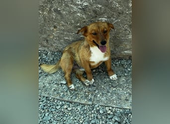 Pixel möchte auch ein Zuhause!