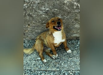Pixel möchte auch ein Zuhause!