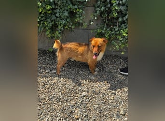 Pixel möchte auch ein Zuhause!