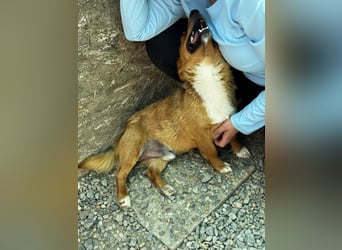 Pixel möchte auch ein Zuhause!