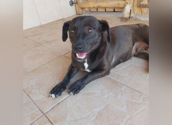 Coco sucht Ihre Familie!