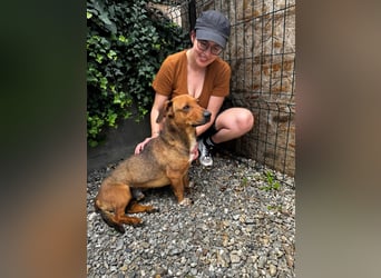 Arni sucht sein Zuhause