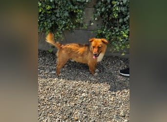 Pixel möchte auch ein Zuhause!