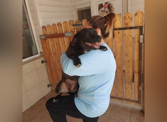 Coco sucht Ihre Familie!