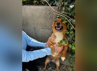 Pixel möchte auch ein Zuhause!