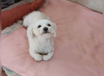 Kleine Lizzy sucht ihr Für-immer-Zuhause