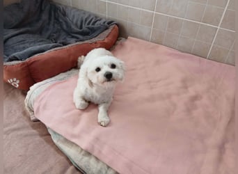 Kleine Lizzy sucht ihr Für-immer-Zuhause