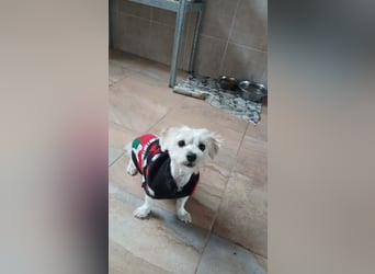 Kleine Lizzy sucht ihr Für-immer-Zuhause